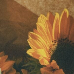 The Sunflower - Digital