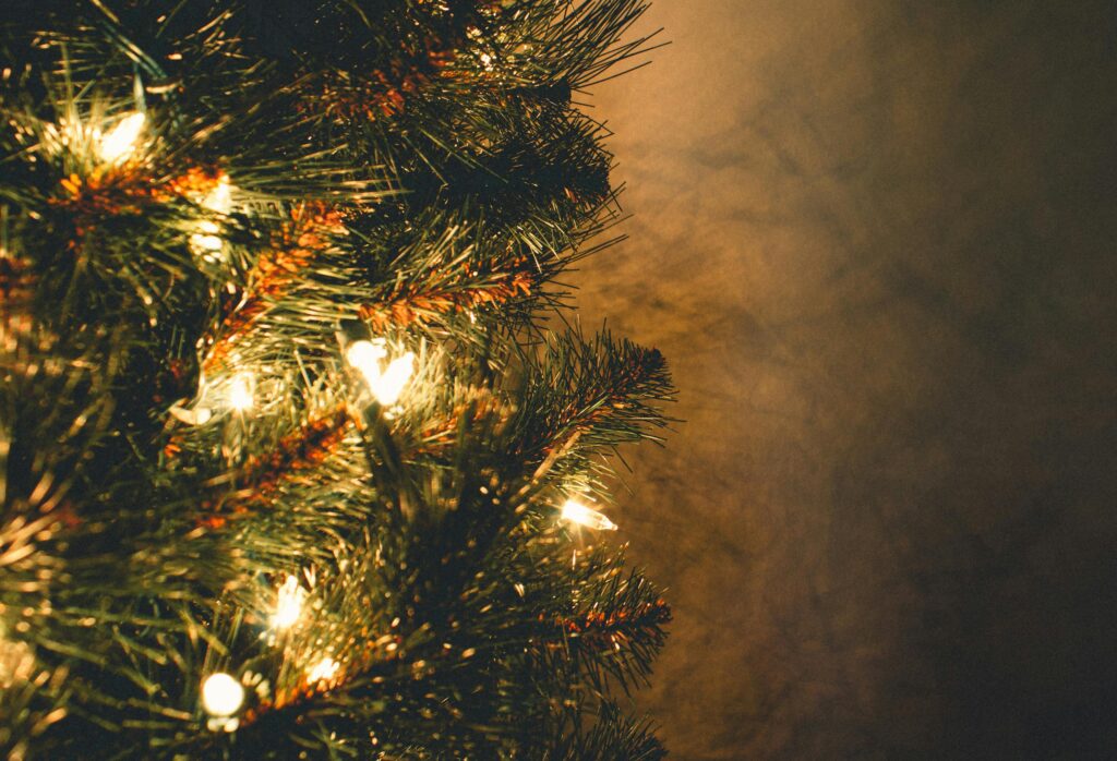 The Christmas Collection