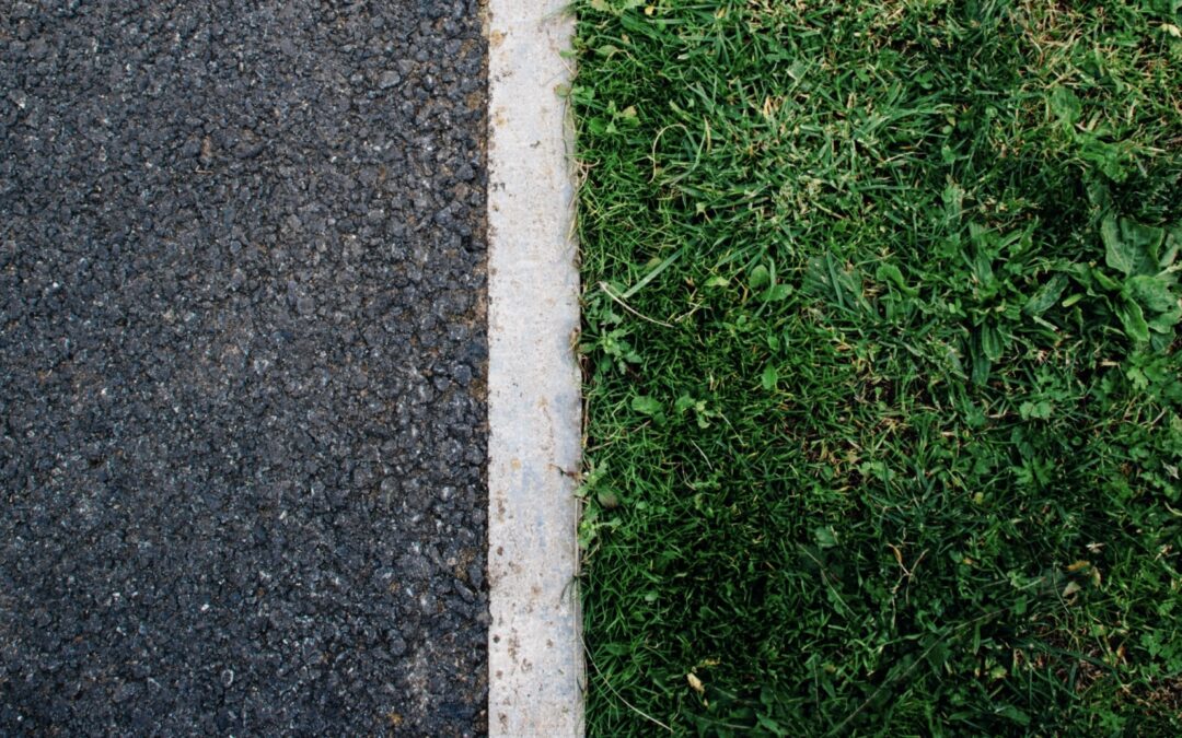 The Reality and Opportunity of Pluralism