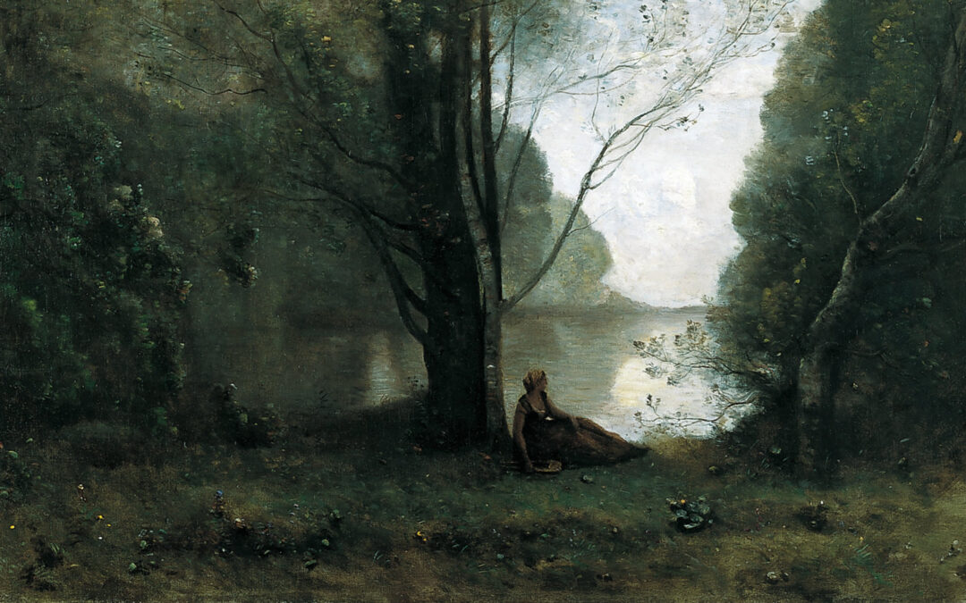A Shocking Lack of Solitude