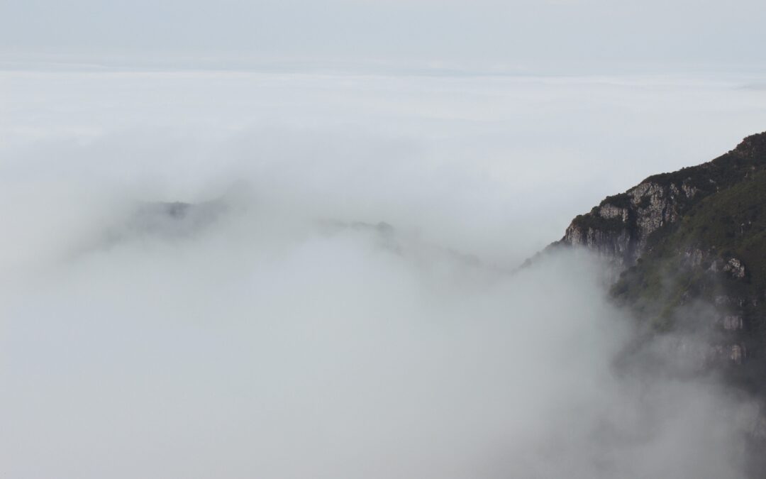 Ash Wednesday, Attention, and Invisible Gorillas