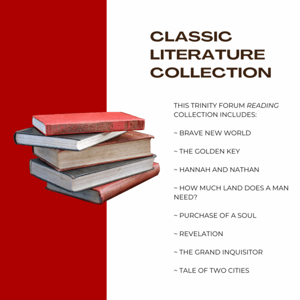 Classic Literature Collection - Image 5