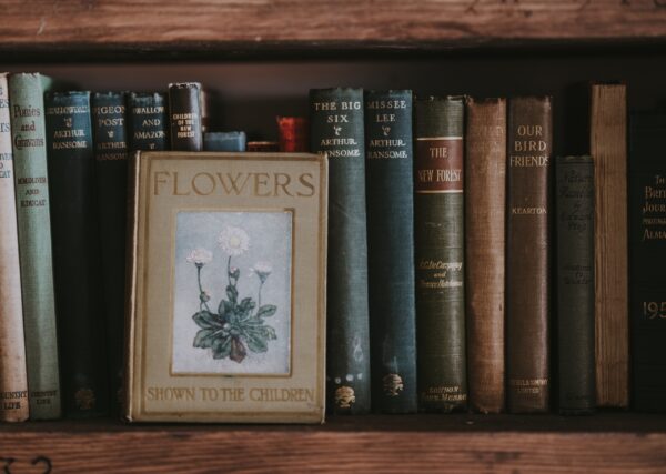 Classic Literature Collection - Image 2