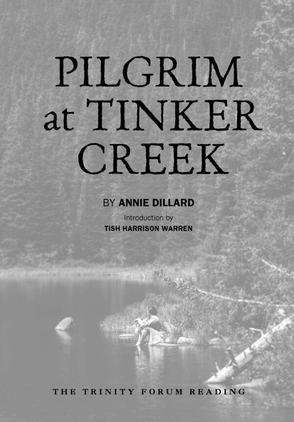 Pilgrim at Tinker Creek
